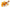 Calendula Skin Benefits: Anti-Inflammatory Botanical for Acne